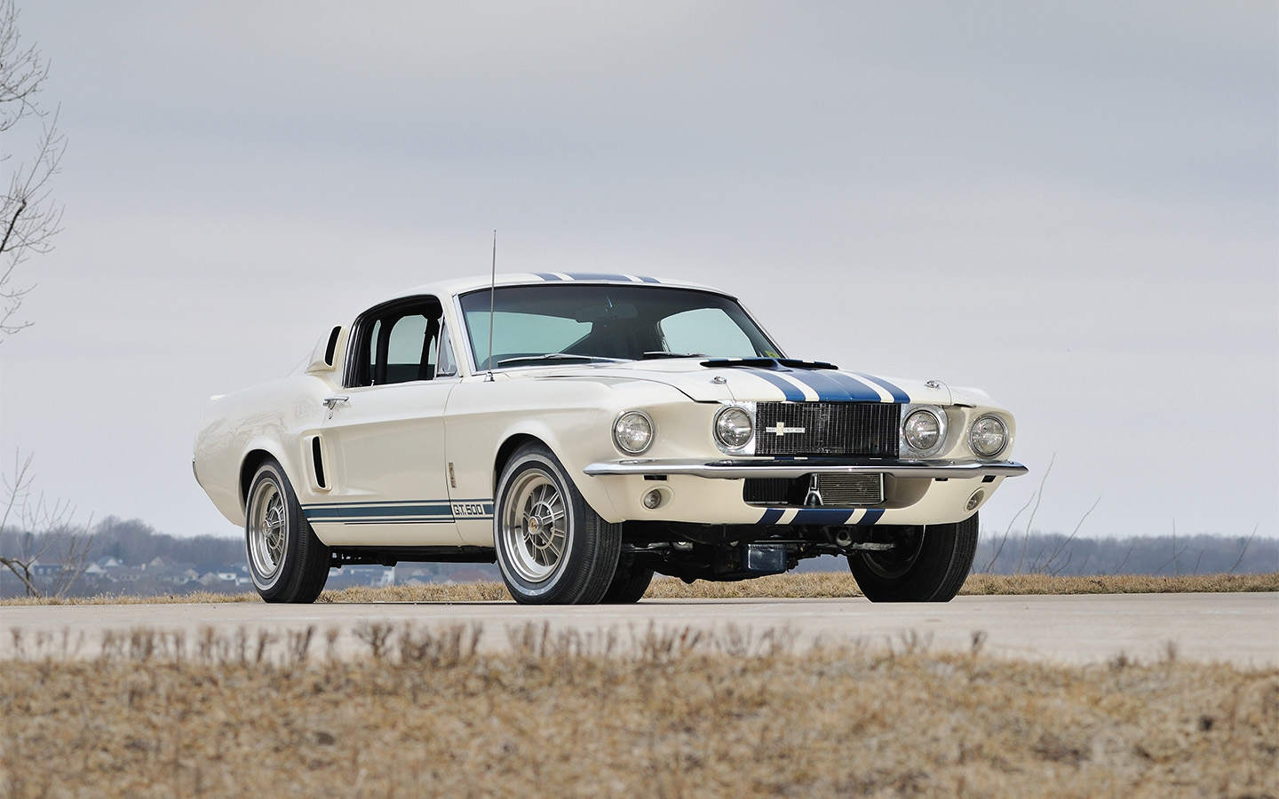 Shelby GT500 Super Snake